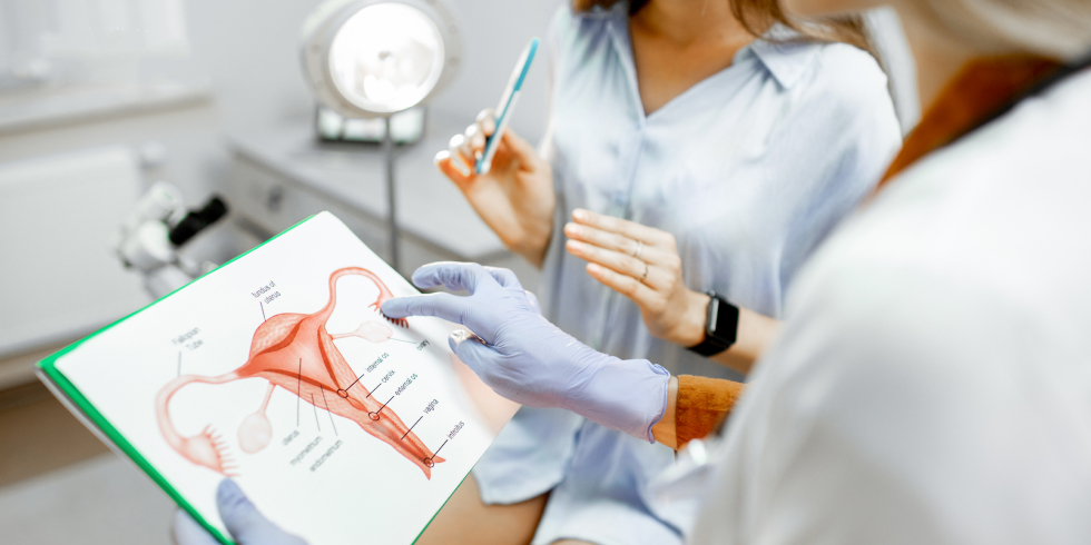Como-Funcionam-as-Consultas-de-Ginecologia-Geral-de-Rotina